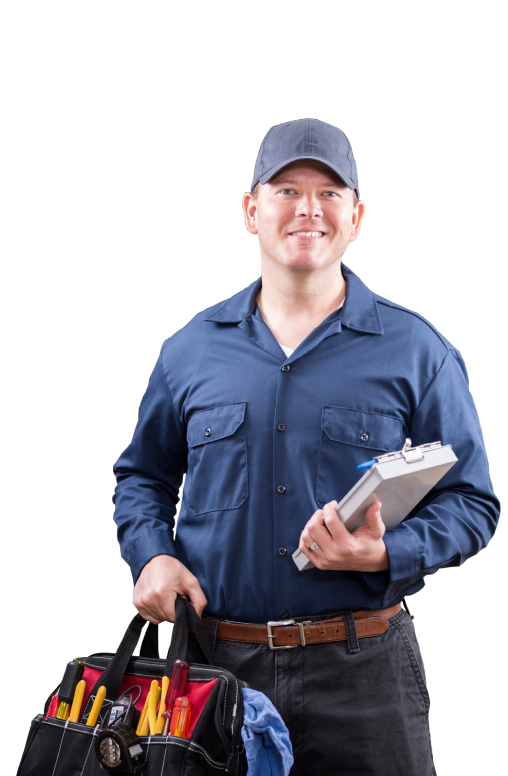 Técnico especialista Proclimas